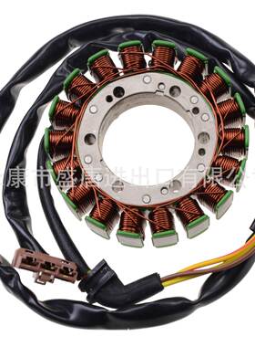 摩托车电磁线圈配件适配ETV1000 1000R 2001-2009沙滩车电动车