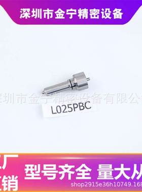 L025PBC 德尔福电控喷油嘴可拆卸油嘴 适用于柴油车 油头