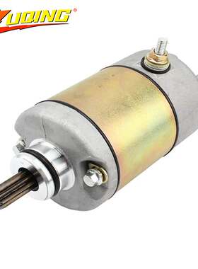 摩托车配件 启动电机飞神林海250CC/300CC 踏板车ATV 马达机