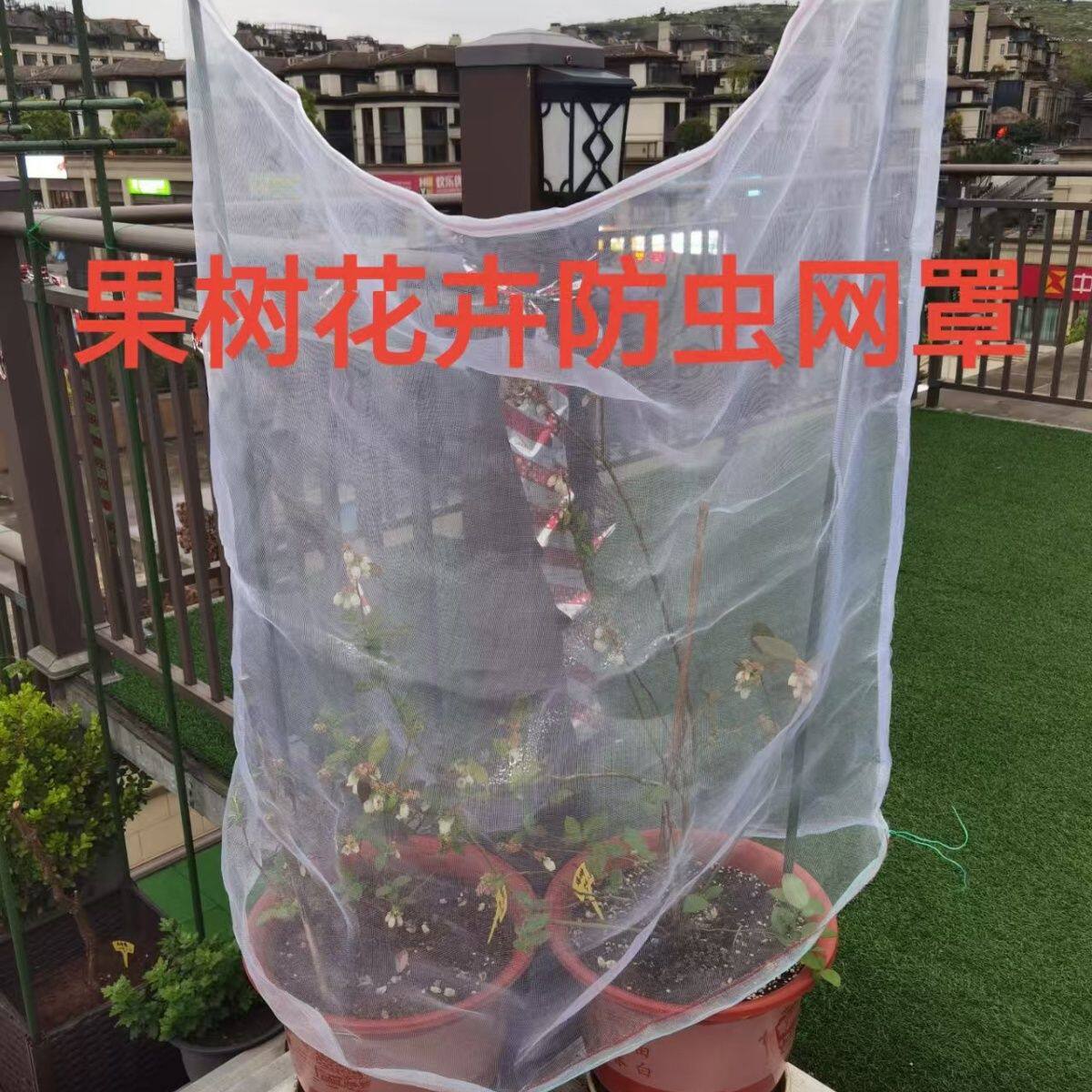 无花果防虫网罩网袋莲雾樱桃蓝莓杨梅苹果花卉绿植防虫防鸟网罩