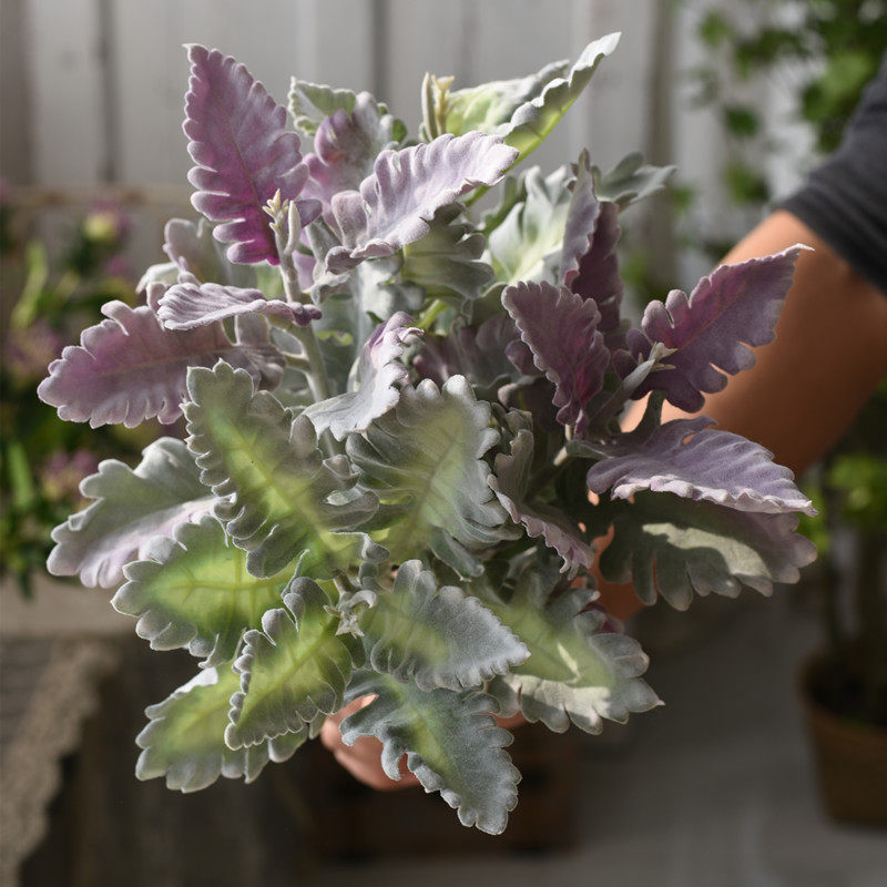 仿真银叶菊植绒羊角叶婚庆搭配森系绿植装饰捧花配材家居摆放植物