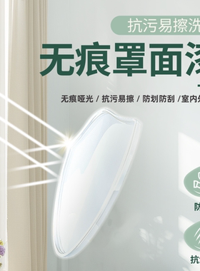 罩面漆室内外墙面乳胶漆防水透明哑光水性保护罩光清抗污渍三青漆