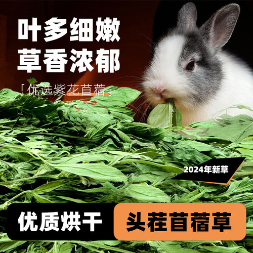 深深宠苜蓿草新鲜头茬2024新草