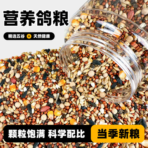 深深宠营养鸽粮精选颗粒饱满