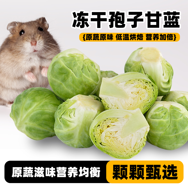 深深宠仓鼠零食冻干孢子甘蓝蔬菜金丝熊营养粮食饲料磨牙用品大全