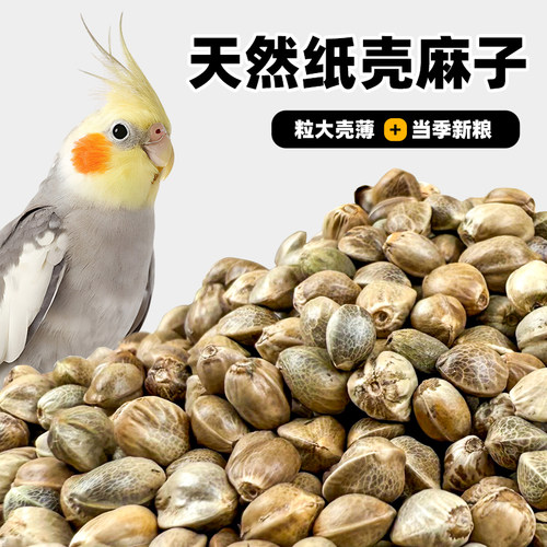 深深宠鹦鹉纸壳麻子大颗粒