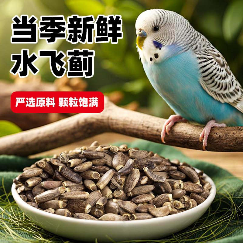 鹦鹉饲料带壳水飞蓟子草子小太阳和尚牡丹玄凤鸟食奖励零食奶蓟籽