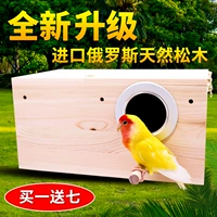 Коробка для размножения попугая инкубационная коробка вертикальная тигр пион пион и феникс жемчужную птичье птичье гнездо гнездо гнездо птичье гнездо птичье клетка