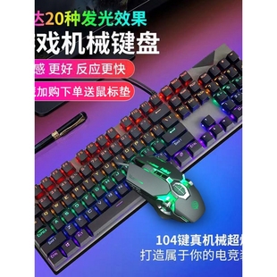 办公打字USB接家 双飞蛇真机械青轴键盘有线游戏电竞电脑笔记台式