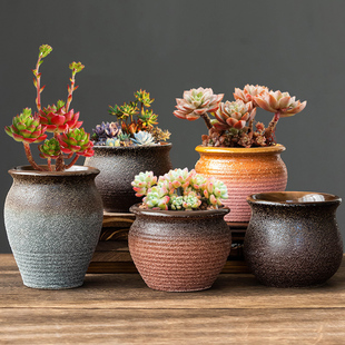 多肉花盆套装 清仓 陶瓷法师老桩盆大口径肉肉粗陶透气高盆家用特价