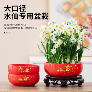 水仙花专用花盆水培器皿红色吉祥如意喜庆家用带托陶瓷大口径摆件