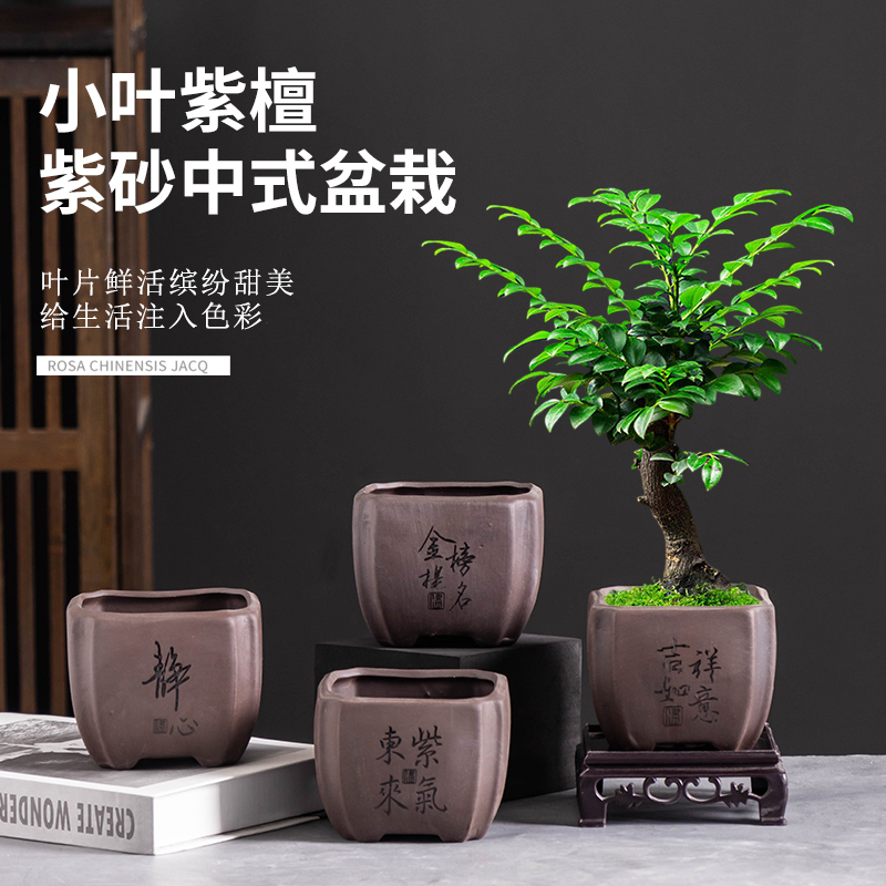 小叶紫檀紫砂花盆复古