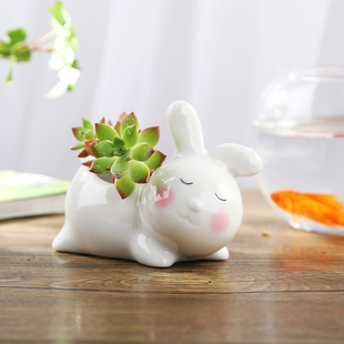 可爱小白兔子动物多肉花盆北欧简约有孔花盆陶瓷特价 摆件 桌面个性