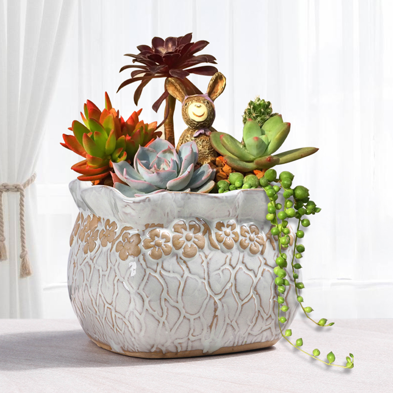 拼盘大口径陶瓷老桩盆栽多肉花盆2021新款小紫乐法师专用玫瑰胧月