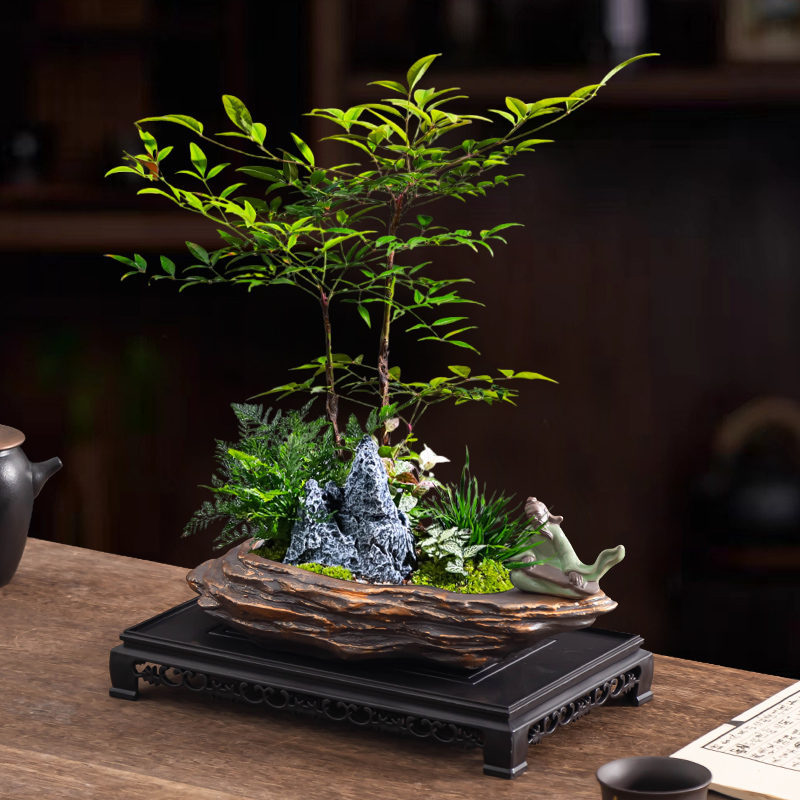 天南竹盆景花盆陶瓷有孔带托