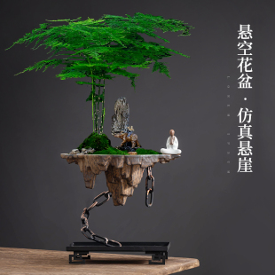 禅意文竹悬空铁艺花盆天空悬崖造景盆景中式配件办公室内盆栽摆件