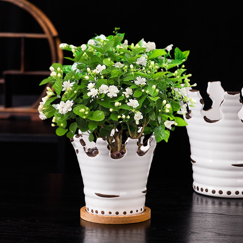 水养栀子花花盆大口径专用绿植水培器皿白色皇冠无孔陶瓷摆件套装