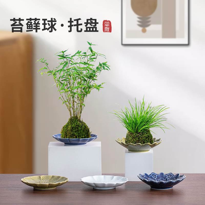 无孔苔藓球盆陶瓷托盘专用花盆水培器皿蕨类植物水养容器禅意摆件