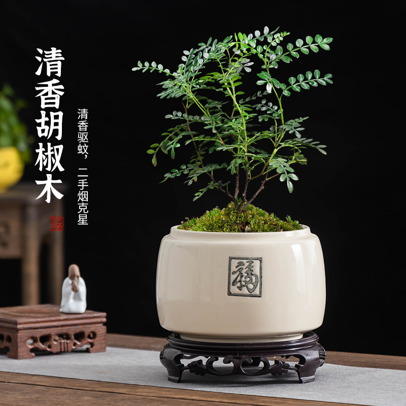 福字小盆栽盆景陶瓷花盆