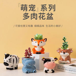 卡通手绘小动物多肉花盆创意儿童园艺肉肉绿植花架桌面小号盆栽