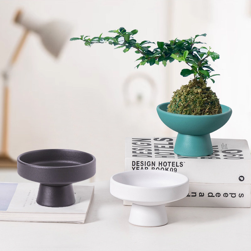 苔藓球花盆陶瓷蕨类植物专用盆托盘子水培器皿摆件米竹绿植小盆栽