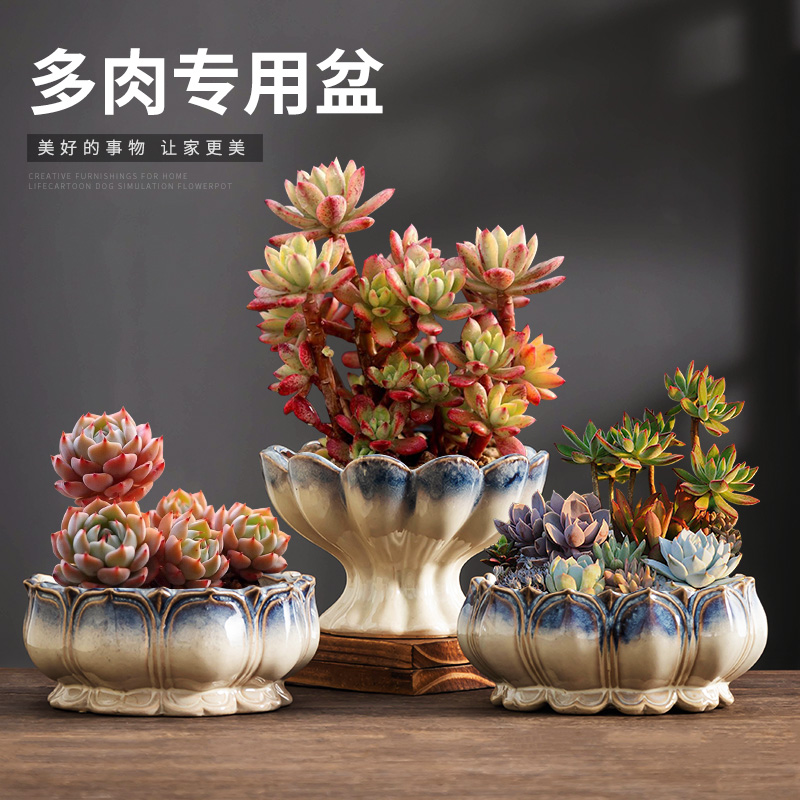 创意中式窑变宝莲灯多肉拼盘花盆家用阳台桌面透气大口径绿植陶瓷