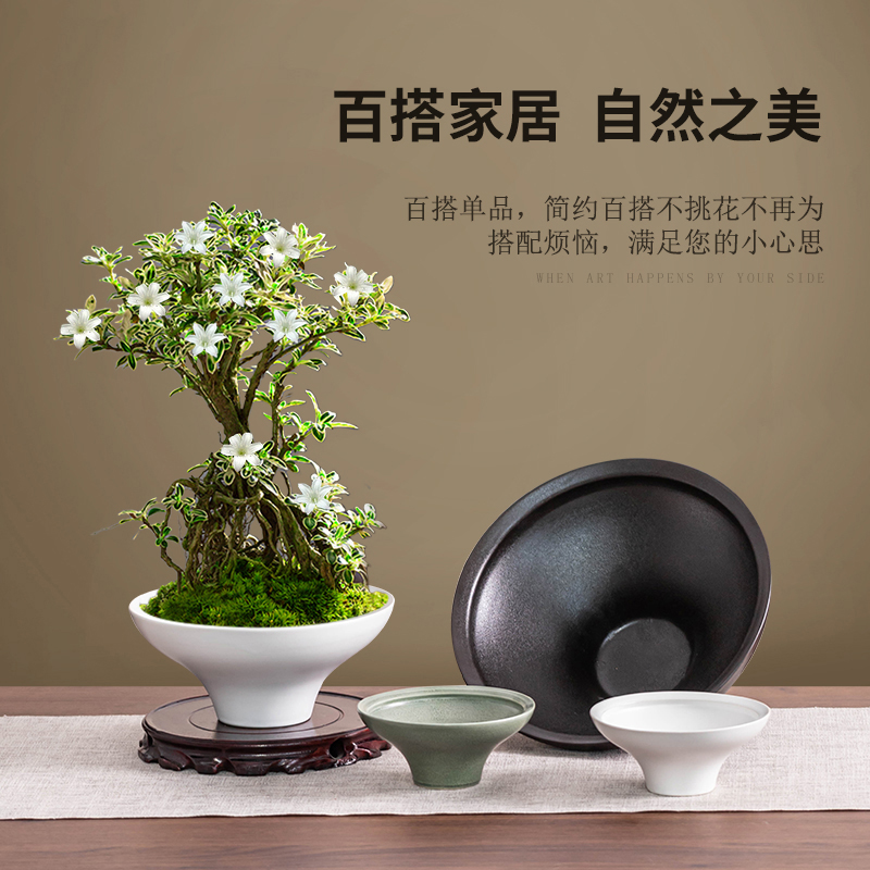 无孔苔藓球陶瓷托盘多种蕨类植物专用花盆水培器皿中式禅意家用