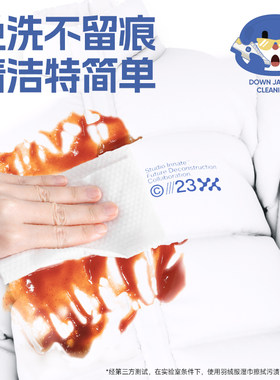 凯萌希衣鞋物去污湿巾大号加厚清