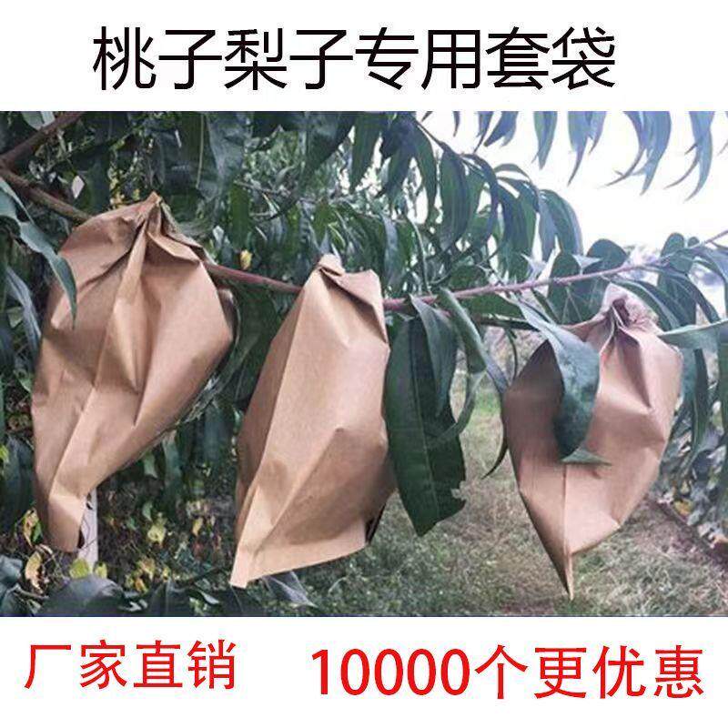 套果专用袋桃子套袋专用袋桃袋果袋水蜜桃黄桃套袋蟠桃冬桃水果套