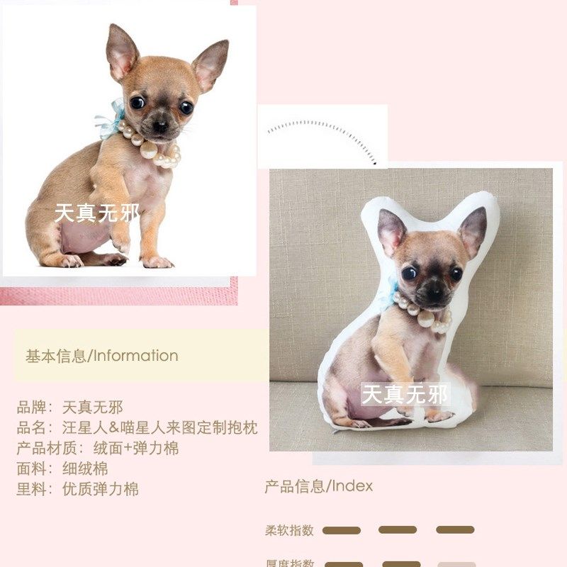 diy异形自订3d猫咪宠物抱枕定制来图定做照片狗狗纪念品枕头咕|ruв категории персональные настройки/разработка услуг/DIY, ежедневно/украшения на заказ, подушка настройки - от Buy2taobao.com для оказания профессиональной услуги покупки агента Taobao