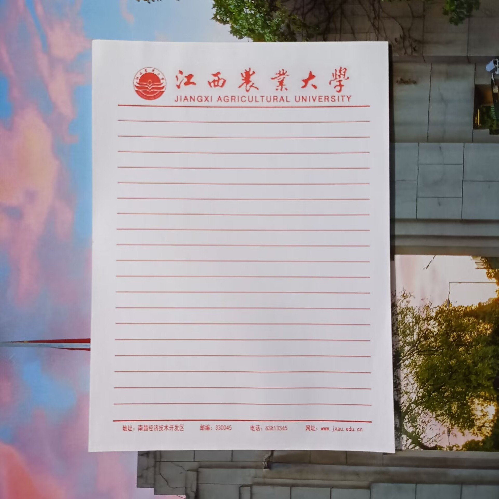 江西农业大学稿纸 抬头信纸信笺草稿纸作业纸思想报告用纸