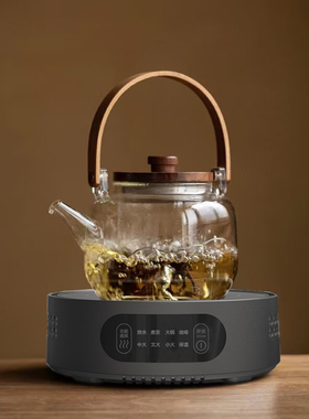 乐米思多功能电陶炉茶炉家用1500W大功率静音煮茶器迷你小型茶炉