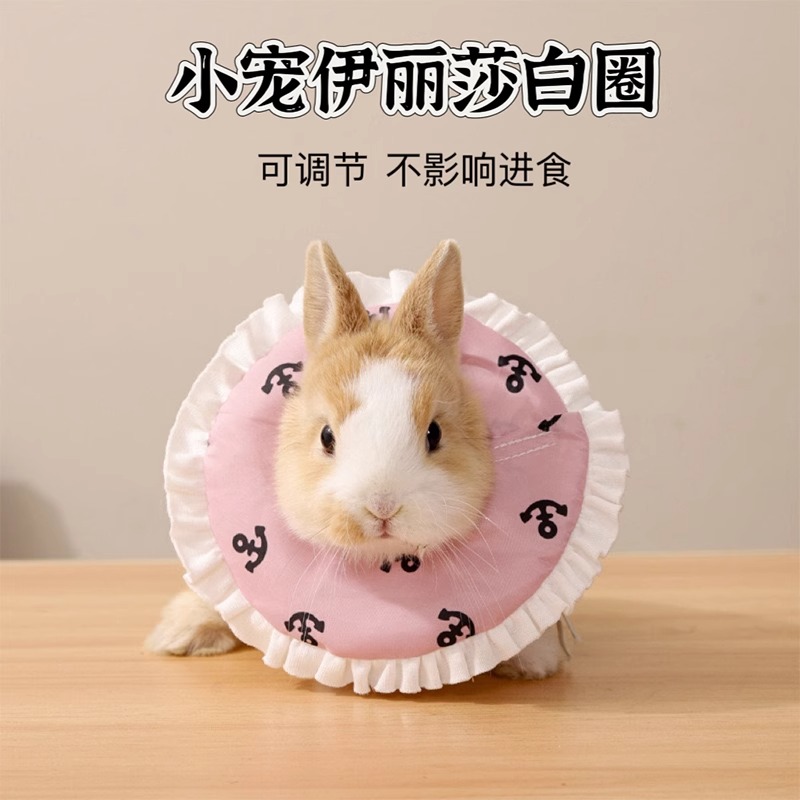 小宠伊丽莎白圈防舔防脱落侏儒兔荷兰猪龙猫仓鼠防护圈可调节项圈