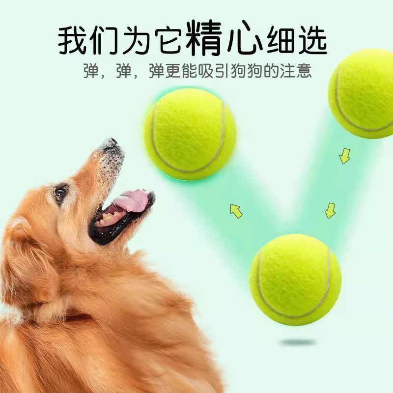 狗狗玩具球金毛泰迪弹力球耐咬磨牙网球宠物幼犬拉布拉多小狗训练