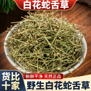野生白花蛇舌草中药材500g新鲜百花蛇舌草泡水煮水另售半枝莲草药