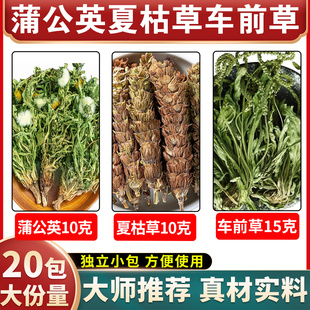 蒲公英夏枯草车前草中药材正品官方旗舰店新鲜货煮鸡蛋泡茶泡水喝