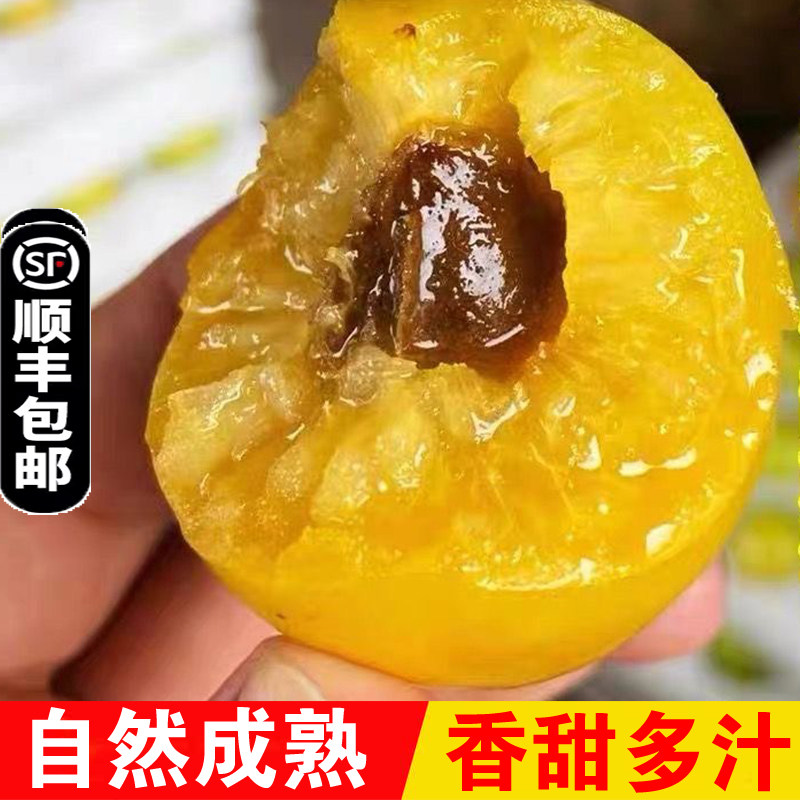 山东小白杏珍珠油杏新鲜甜杏子孕妇应季水果现摘整箱5斤顺丰包邮