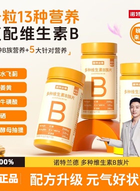 诺特兰德多种复合维生素b族咀嚼片牛磺酸vbb12b6男女通用官方正品
