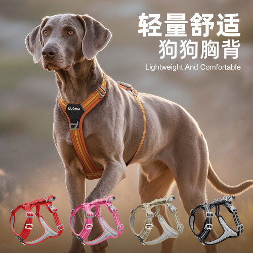 狗狗牵引绳防爆冲宠物胸背带舒适户外狗绳子反光耐磨大狗胸背