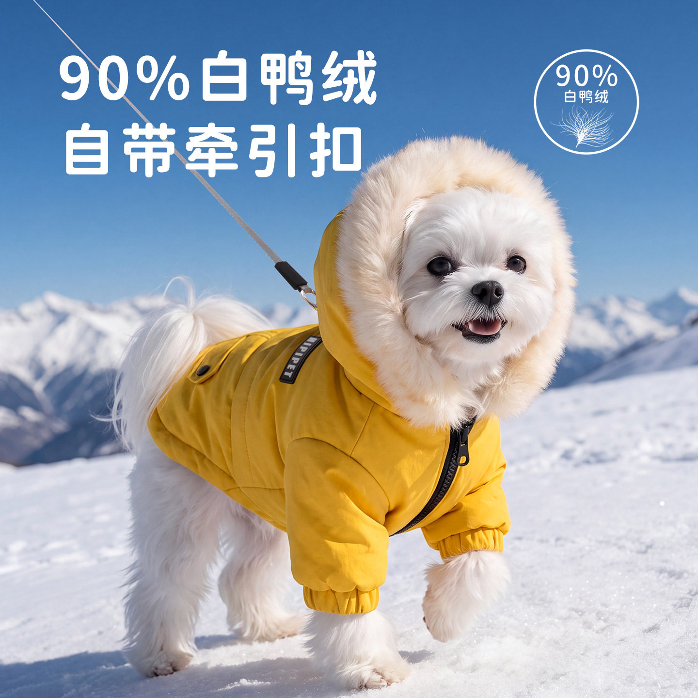 秋冬季宠物服装石墨烯白鸭绒大毛领猫咪保暖小型犬羽绒服狗狗衣服