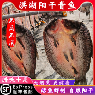 湖北洪湖阳干鱼农家自制年货腊鱼咸鱼风干鱼大青鱼干整条螺蛳青鱼