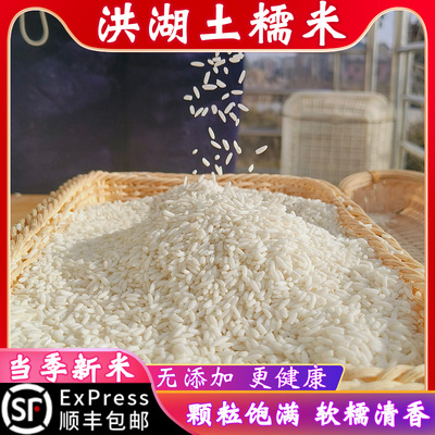 果心榴洪湖长粒糯米5斤