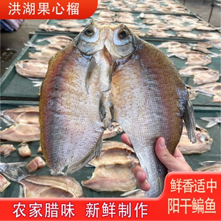 湖北洪湖阳干鳊鱼整条阳干武昌鱼腊鱼非烟熏手工腌制自然晾晒