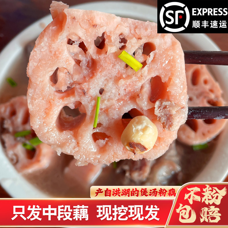 明火燃气高压锅炖新鲜上市正宗莲藕现挖藕带泥藕煲汤粉藕炖汤藕