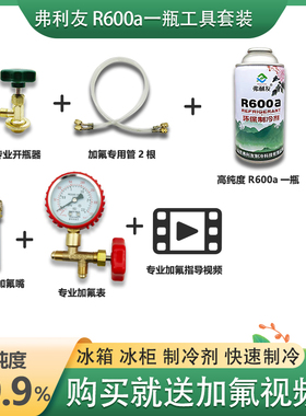 冰箱冰柜R600A冷媒雪种纯利昂加氟工具套装冰种冷冻液定频变频