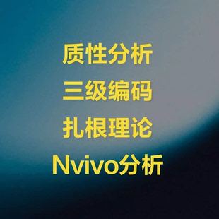 Nvivo分析质性分析扎根理论三级编码主题分析访谈文本政策编码