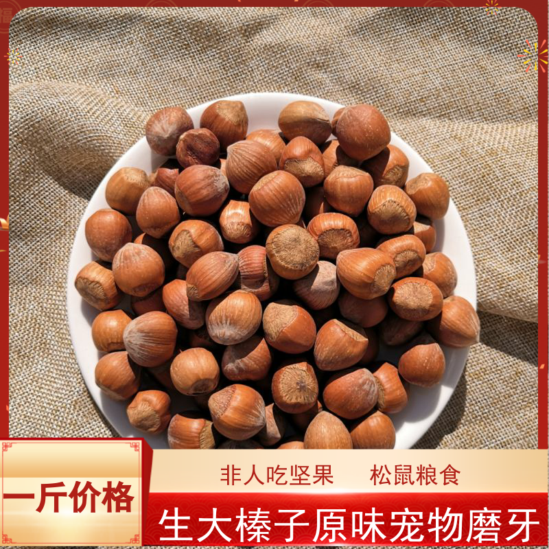新货美国松鼠粮食磨牙500g大榛子