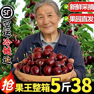 包邮 礼盒 新鲜水果国产车厘子孕妇整箱3J 美早大樱桃山东烟台当应季