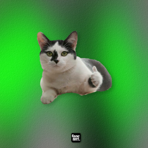 高冷猫咪大拇指手势搞笑反光贴纸