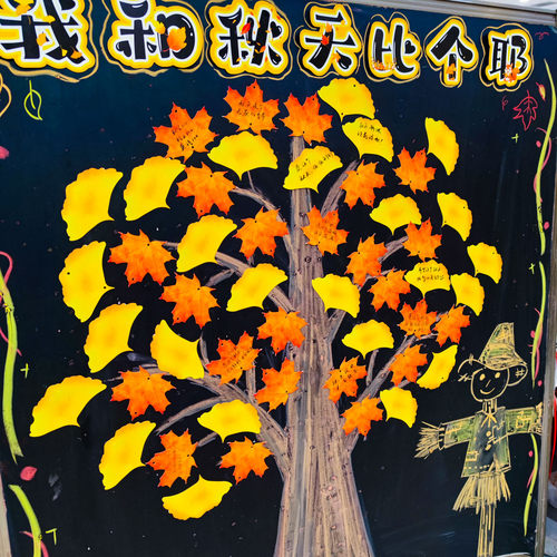 彩昶秋季枫叶银杏叶手写心愿卡片